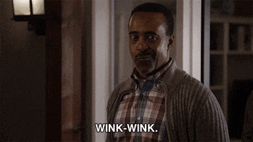 tim meadows wink GIF by Son of Zorn