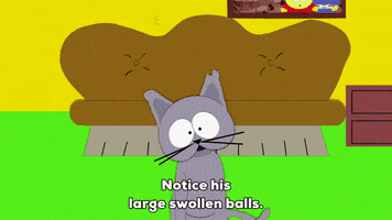 living room cat GIF by South Park 