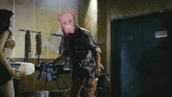 piggytron piggytron GIF