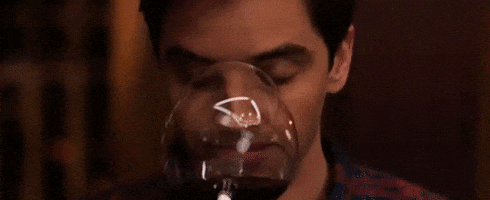 Smelling Wine Tasting GIF by Rough Night Movie