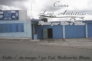 sckar_l10n renta ardilla GIF