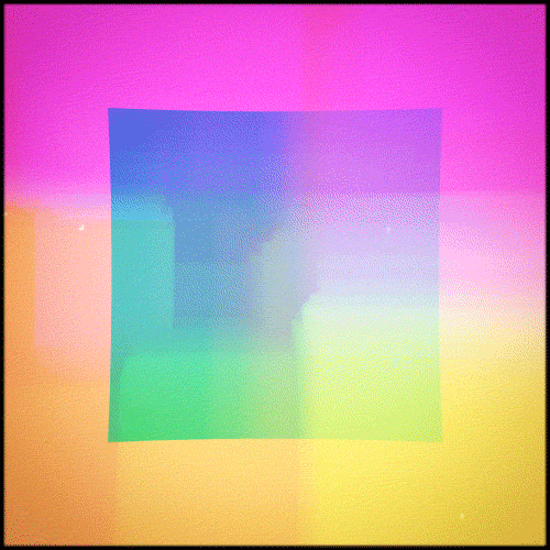 pink rainbow GIF by Erica Anderson