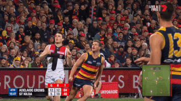 adelaidecrows reactions goals celebrations adelaide crows GIF