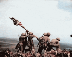 artworkofarmies raising the flag GIF