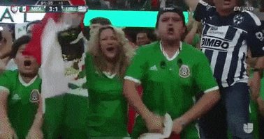 mexico fans celebrate GIF by Univision Deportes