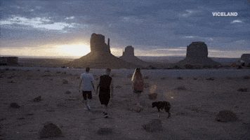 GIF by VICE DOES AMERICA