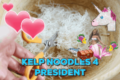 Kelp Noodles GIFs - Get the best GIF on GIPHY