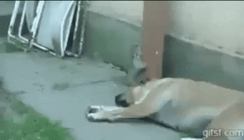 chanbeom  GIF