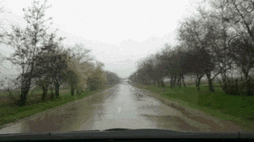 winchester  GIF