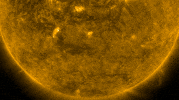 nasa goddard sun GIF by NASA's Goddard Space Flight Center
