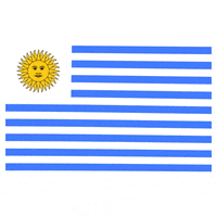 uruguay GIF by Latinoji