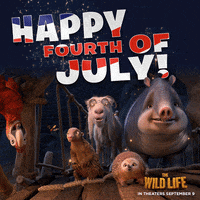 independence day happy fourth of july GIF by Lionsgate