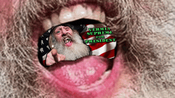 kateybright america politics president political GIF