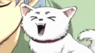 soniitk gintama sadaharu soniitk GIF