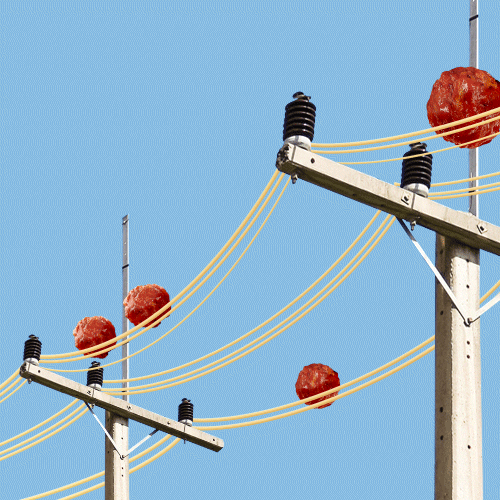 hungry bird GIF by Justin Gammon