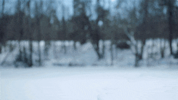 steve coogan snow GIF by Showtime