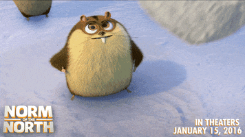 #norm #normofthenorth GIF by Lionsgate