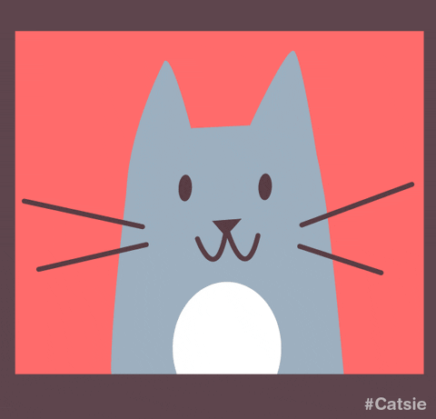 catsie