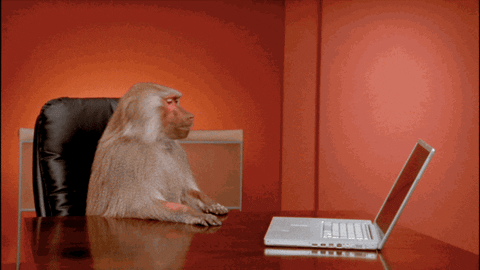 office monkey