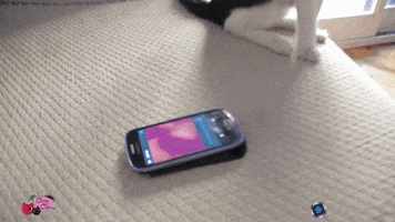 pabloabate  GIF
