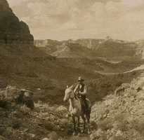 Grand Canyon Archive GIF by University of California