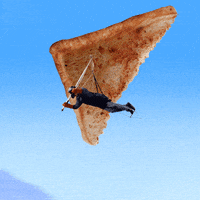 fly breakfast GIF by Justin Gammon