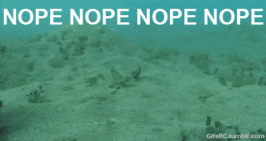 phuoc nope GIF