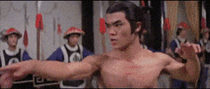 awesome martial arts GIF by Shaw Brothers