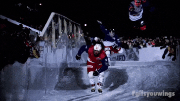 ice hockey falling GIF by Red Bull