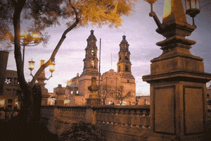 memo pan frases gloria memo GIF