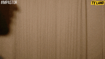 impastor GIF by TV Land