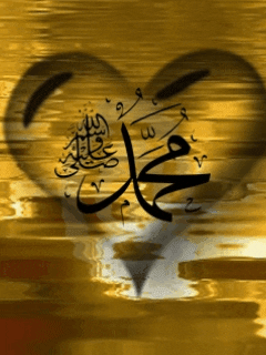 samia  GIF