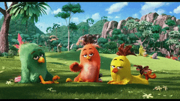 hello GIF by Angry Birds