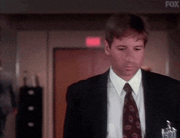 x files GIF by The X-Files