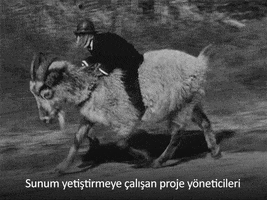 clockwork  GIF