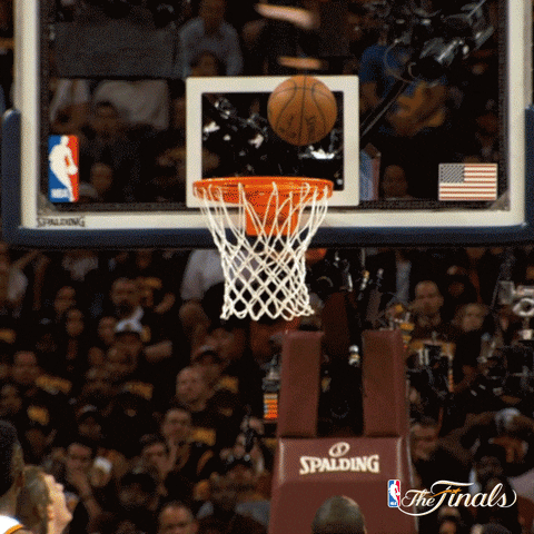 Celebrating Golden State Warriors GIF by NBA