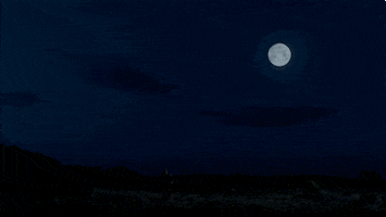 Full Moon Werewolf GIF by Showtime