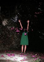 200.gif?cid=fc005b087537f4d6b91dd65ddea02c037c0d4ee7090de04f&rid=200.gif&ct=g