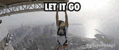 let it go skydive GIF by Red Bull