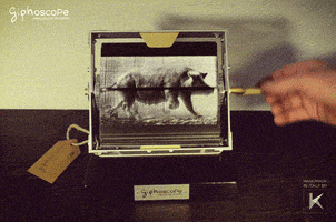 pig gif player GIF by Okkult Motion Pictures