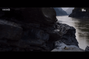 hussainahmed-6115 bollywood rangooon GIF