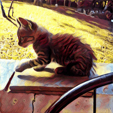 jacilins kitten GIF