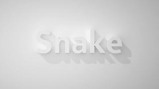 goos3d_ie nokia 3310 GIF