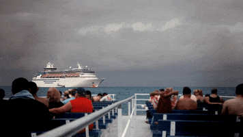 cruise ship GIF by Univision Noticias