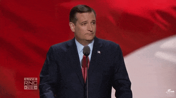 republican national convention rnc GIF by Election 2016