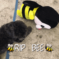 rip bee GIF by Jess