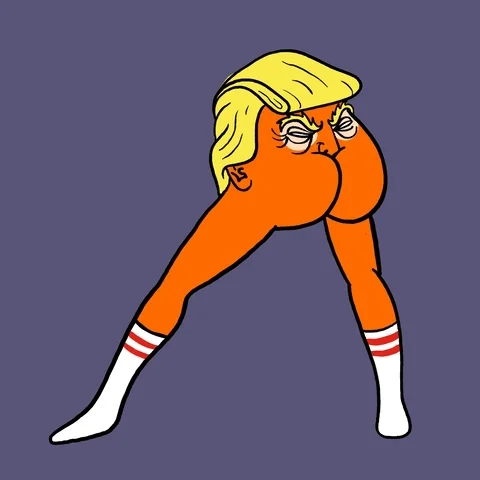 Election 2016 Dance GIF