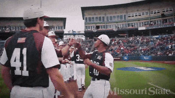 baseball msu bears GIF by Missouri State University