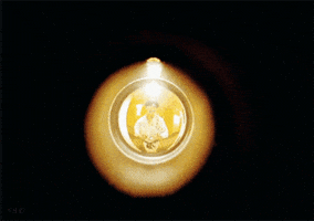 kalo  GIF