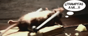 bronx  GIF